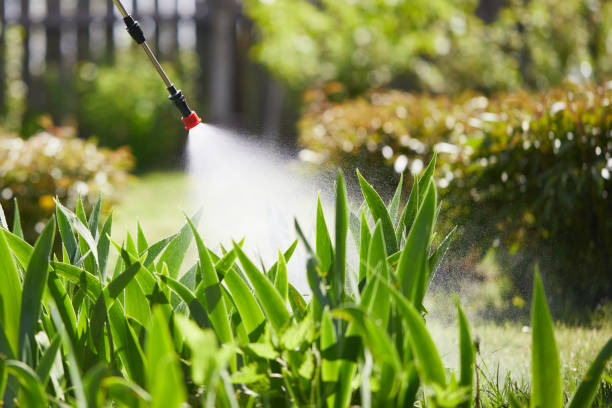 24/7 Emergency Mosquito Control experts in Corry, PA